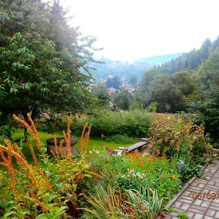 Apartman Aya Janov nad Nisou Zewnętrze zdjęcie