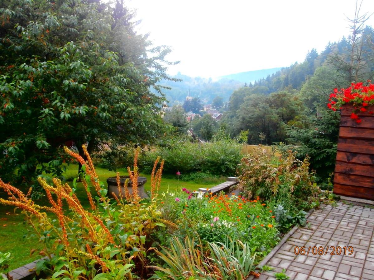 Apartman Aya Janov nad Nisou Zewnętrze zdjęcie