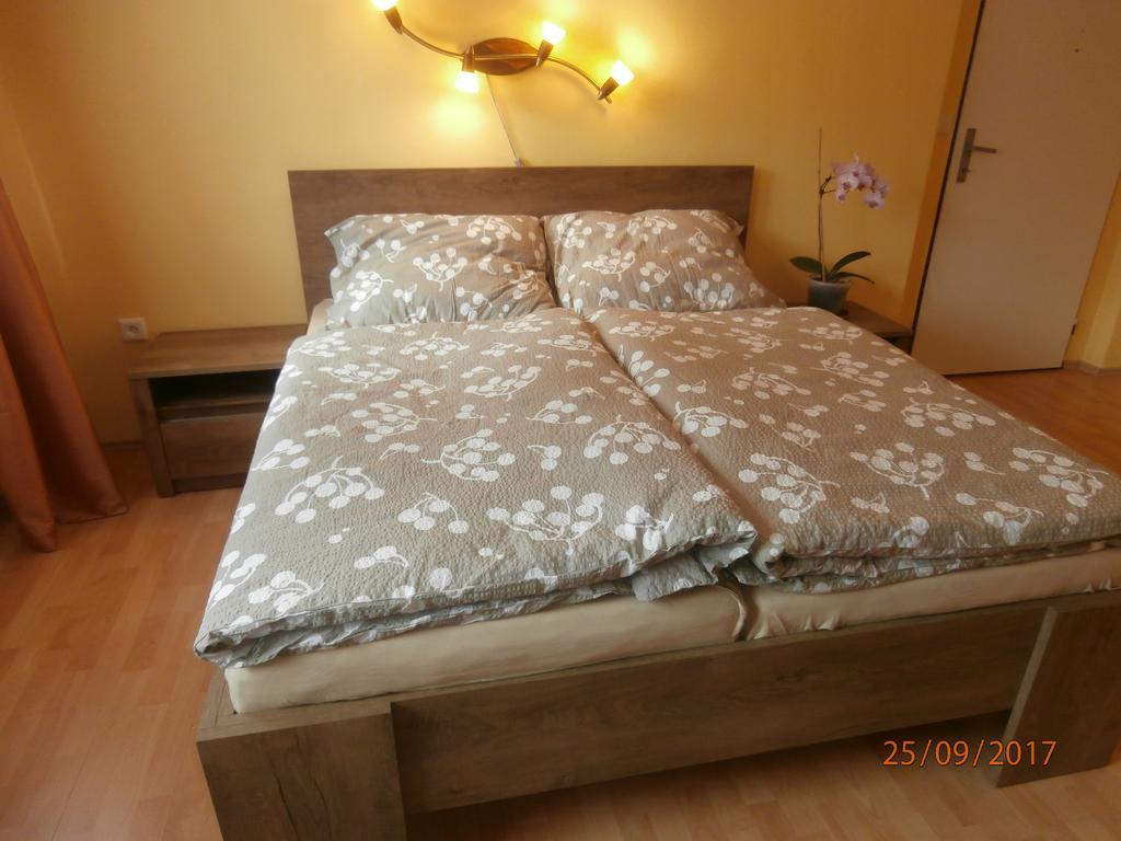 Apartman Aya Janov nad Nisou Zewnętrze zdjęcie